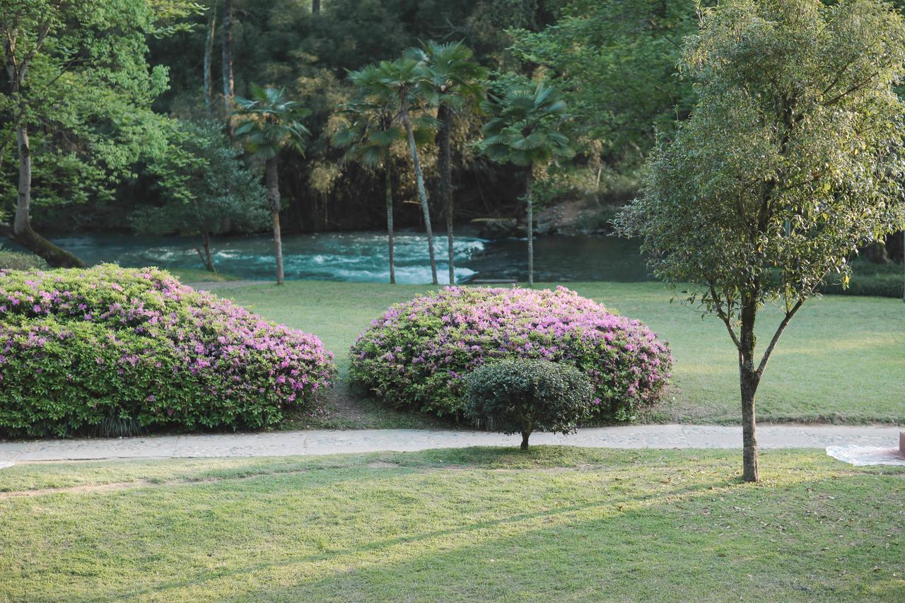 Wuyi Mountain Ancient Street Forest Living England Time Inn Wuyishan  Exterior photo