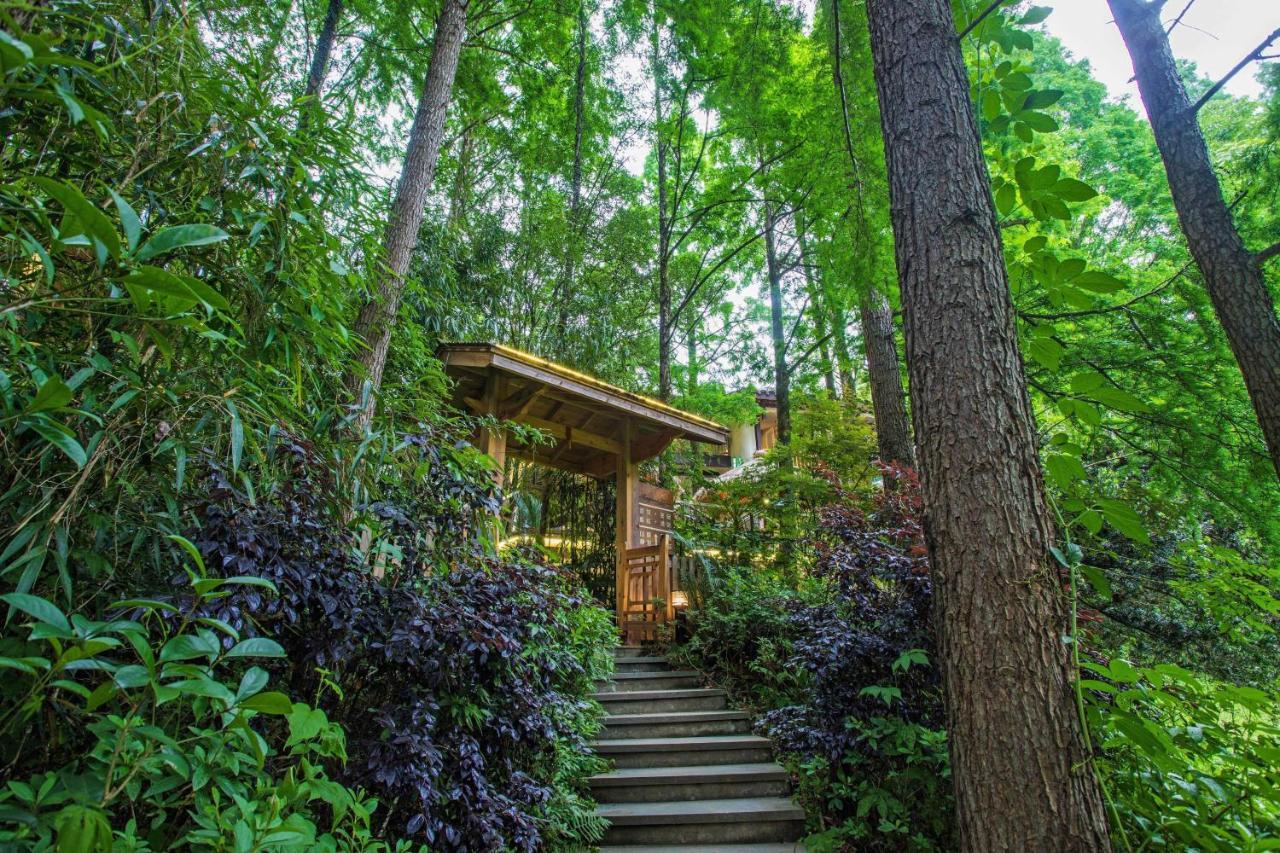 Wuyi Mountain Ancient Street Forest Living England Time Inn Wuyishan  Exterior photo